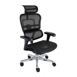 Biuro kėdė Ergohuman 2...
