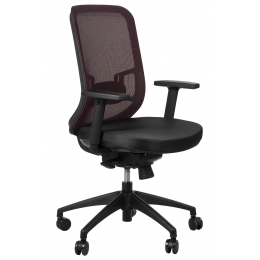 Biuro Kėdė GN-310 Bordo