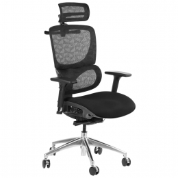 Biuro Kėdė ErgoNew S1 Aliuminio Kryžmė