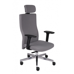 Biuro Kėdė Team Plus HD B Chrome Gobeleno Spalva Pasirinktina