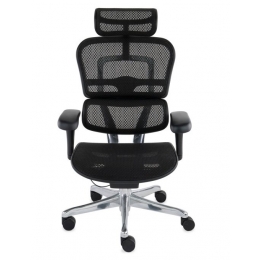 ergohuman biuro kėdės