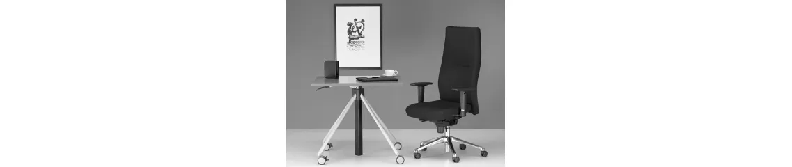 Biuro kėdės su sinchroniniu mechanizmu