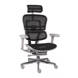 Biuro kėdė Ergohuman 2 Elite GS juoda