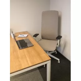 Ergonominė biuro kėdė SMART W