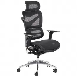 Biuro Kėdė ErgoNew S7 Tinklinio Audinio Sėdynė