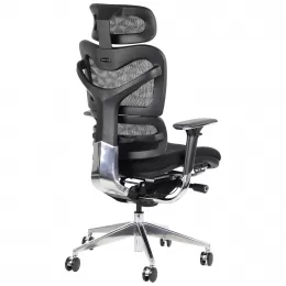 Biuro Kėdė ErgoNew S8 Tinklinio Audinio Sėdynė