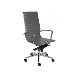 Biuro Kėdė NEXT SN5 Natūrali Oda