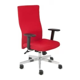 Biuro Kėdė Team Plus Chrome Gobeleno Spalva Pasirinktina