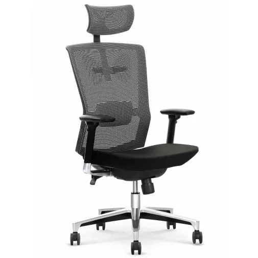 ergonomiška biuro kėdė